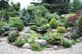 Cool Gardens No Rules In Nature Conifers Garden Evergreen Garden Landscaping Plants