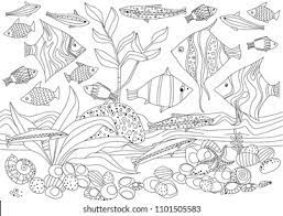 All aquarium coloring pages are free and printable. Decorative Fishes Aquarium Your Coloring Book Stock Vector Royalty Free 1101505583