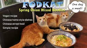 Chinese Street Food Spring Onion Mixed Noodles Vegan Recipe Lovely Cat Vegan Chinese Food Chinese Street Food Vegan Recipes