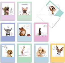 Most relevant best selling latest uploads. Amazon Com Dogs Doodles 10 Funny Assorted Thank You Cards With Envelopes 4 X 5 12 Inch Animal Pet Appreciation And Gratiturde Note Cards Adorable Stationery Notecard Set For Kids M6582tyg Office Products