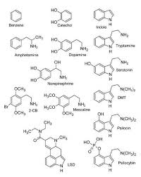 Ein Chemie Tattoo Fur Einen Chemie Nerd Chemie Einen Tattoo Chemie Tattoo Organische Chemie Chemie