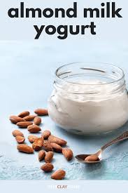 Maybe you would like to learn more about one of these? How To Make Almond Milk Yogurt In Your Vitaclay Homemade Yogurt Recipes Yogurt Recipes Recipes