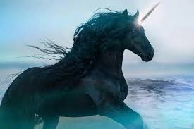 Unicorn Edited By Loulou Horses Animals Unicorn