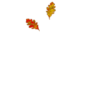 Design, animation, black and white, digital, artist, art, op art, james zanoni. Fall Leaves Falling Gif Mech Sauce