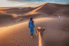 Copy link to paste in kate cut a stylish figure in a camel coloured long duster coat which she layered atop of a brown polo earlier this month, the fitness enthusiast told her followers that, although some days she makes it to. How To Train Your Camel Part 2 So Morocco