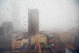 Temperaturas, probabilidade de chuvas e velocidade do vento em gramado. 11 Atividades Para Fazer Em Gramado E Canela Com Chuva Em 2021