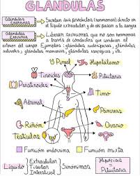 Pin En Enfermeria