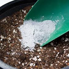 How much ever cleaning you do to your surroundings, the problem of fleas seems to not go away for most of us. Soilkey Garden Lime Urban Garden Seeds Non Gmo Heirloom Seeds