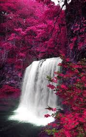 Nature Beautiful Waterfall Beautiful Nature Good Morning Gif - Animaltree