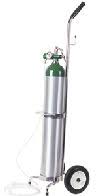 These chemicals are found in vehicles. Portable Oxygen Cylinder Systems Cylinder Bag Regulator Sizes M2 To E Tri Med Inc