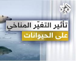 صورة التغيرات في الحياة البرية والنباتية بسبب التغير المناخي