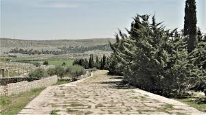 Pe un drum uscat de ar ion ghitulescu. Cel Mai Bun Drum Din Lume A Fost In Romania Ne Am BÄƒtut Joc De El E In ParaginÄƒ Impact