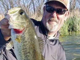 Don't do the Dew; carbonation doesn't help revive injured fish