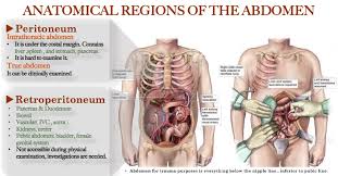 Diverticulitis is a condition in which a bulge forms regardless of the cause, if you aren't going, this can result in the lower left side abdomen pain. Http Ksumsc Com Download Center Archive 3rd 434 Teams 2nd 20semester Surgery 20team L11 Specificorgantrauma Pdf