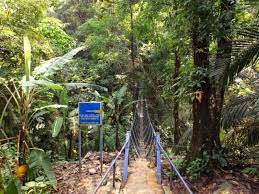 Enjoy hearty meals at the forest park cafe or enjoy the crisp mountain weather with some drinks by the fireplace at grizzly bar. 12 Beautiful Hiking Trails Around Kl For Everyone To Conquer