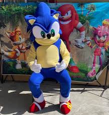 Sonic Hedgehog Mascot Costume Rentals Fun Factory Parties