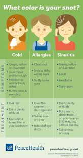 Infographic What Color Is Your Snot Yellow Snot Cold Or Allergies Healthier You