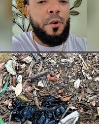 Fui a bonao, porque alguien le inyecto un químico a unos jugos en una caja  navideña, donde una niña partió de este mundo y 6 personas están delicadas  de saludos.