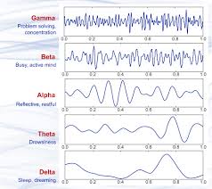 Brain Waves An Overview Sciencedirect Topics