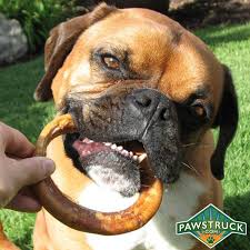 Bully Stick Rings Regular With Images Himalayan Dog Chew Dog Dental Treats Dogs