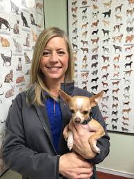 Columbia emergency animal hospitals and clinics. Hah F Columbia Mo 65203 Meet Our Team