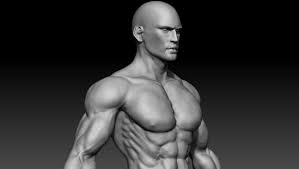Realistic Muscular Man 3d Model Obj Ztl Png 1 604 907 Pixels