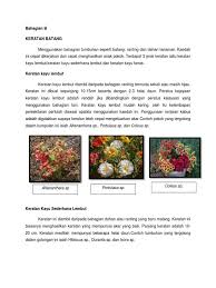 Medium semaian keratan batang boleh dilakukan dengan menyediakan campuran 2 bahagian tanah loam, 1 bahagian bahan organik dan 1 bahagian pasir sungai (2:1:1). Keratan Batang Kerja