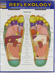 Cafepress Reflexology Foot Chart Poster Big Greeting Cards