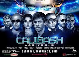 Calibash Twitter Search