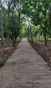 TOWN PARK (2024) All You Need to Know ...