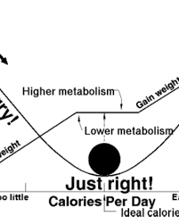 If you don't have one of these values, the amount will not be correct. Calculate Bmi Of Men Women From Weight Table Chart Caloriebee