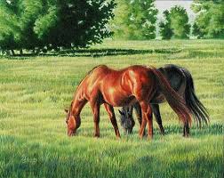 See more ideas about colored pencils, colored pencil lessons, colored pencil tutorial. 23 How To Draw Landscapes With Colored Pencils Ideas Colored Pencils Color Pencil Drawing Color Pencil Art