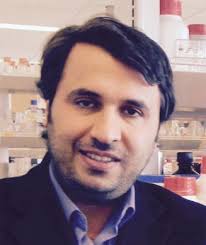 A twenty-year ESM legacy