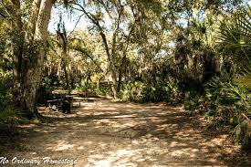 We did not find results for: Woody Peaceful Camping In Oscar Scherer State Park No Ordinary Homestead