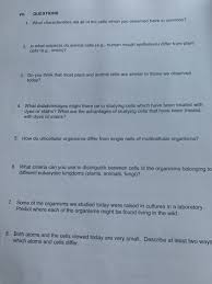 An animal cell differs from a plant cell in respect of. Vii Questions 1 What Characteristics Did All Of The Chegg Com