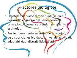 Alexieduardo170 está esperando tu ayuda. 2 11 Am Factores Que Influyen En El Desarrollo Psicologico
