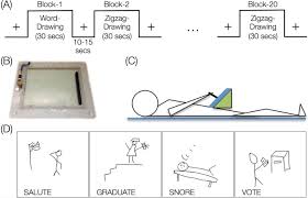 However, time passes and you probably never played pictionary again. Pictionary Based Fmri Paradigm To Study The Neural Correlates Of Spontaneous Improvisation And Figural Creativity Scientific Reports