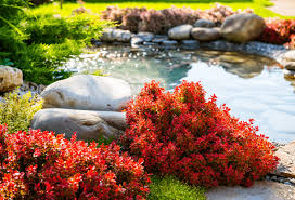 Does your front yard need a makeover? Landscaping The Front Yard Experigreen