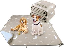 Washable Pee Pads for Dogs, Reusable Puppy Pads Waterproof, 2 Pack Dog Pee  Pads, Potty Pads for Dogs, Super Absorbent, Add 8 Lanyards, Puppy Training  Pads (34x36 Inch ,Pack of 2)