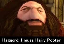 Harry potter and the year of no haircut. Create Meme Hagrid Ps1 Mem Harry Potter Ps1 Hagrid Hagrid Meme Pictures Meme Arsenal Com