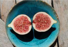 Can Dogs Eat Figs How About The Leaves Are Figs Good For Dogs