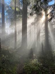 Image result for Dawn Mist Gray 1958 Sunbeam