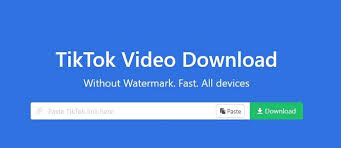 Paste video link that you copied from the . Free Tiktok Downloader Without Watermark Javawebmaster Com