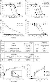 Thermostabilization Of The Human Endothelin Type B Receptor