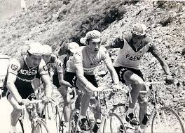 1969 Vlnr Raymond Poulidor Eddy Merckx Martin Van Den Bossche Illustrations De Cyclisme Velos Anciens Tour De France