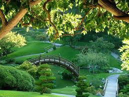 Flawless Green Garden For Garden Green Garden Home Design Ideas