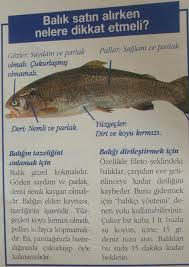 Nesibe Neslihan Onaran Adli Kullanicinin Food Panosundaki Pin Fileto