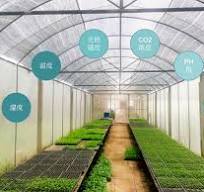 IoT技術に基づく温室 - HUALIANG