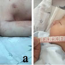 Image result for Face Presentation