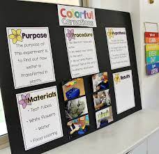 Maybe you would like to learn more about one of these? Image Result For Science Fair Projects Color Changing Flowers Kids Science Fair Projects Science Fair Projects Science Projects